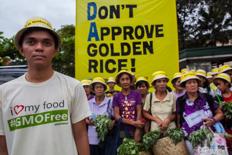 greenpeace_activity_golden rice.jpg